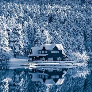 Meet your Posher, Darrell